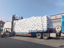 把握機遇、鉚足干勁、承勢而上